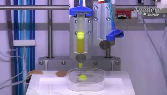 Mini foie bio-imprimé en 3D